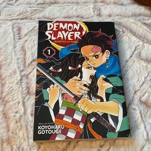 Demon Slayer Vol. 1